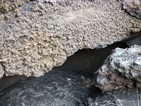 otta di Serracozzo-201100508 040